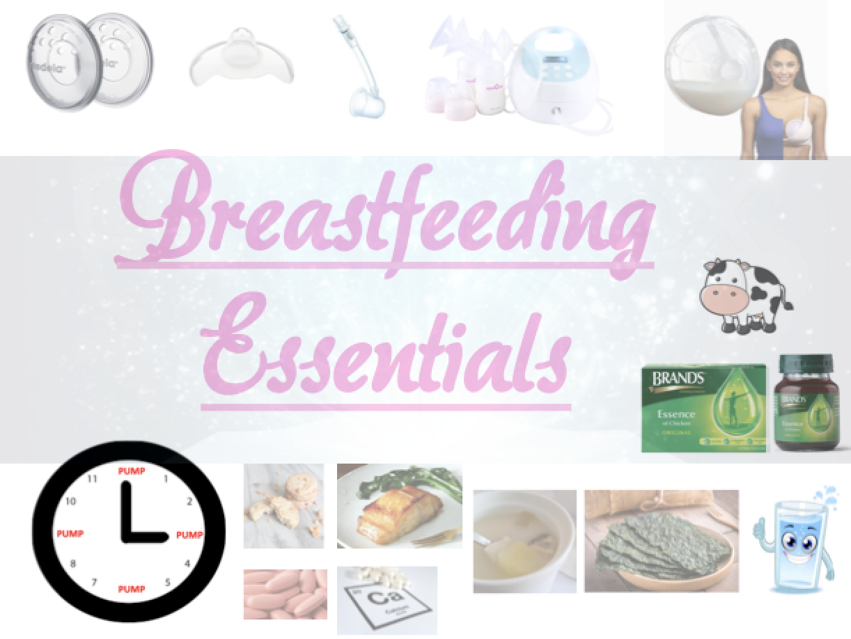 Equipment needed 2024 for breastfeeding