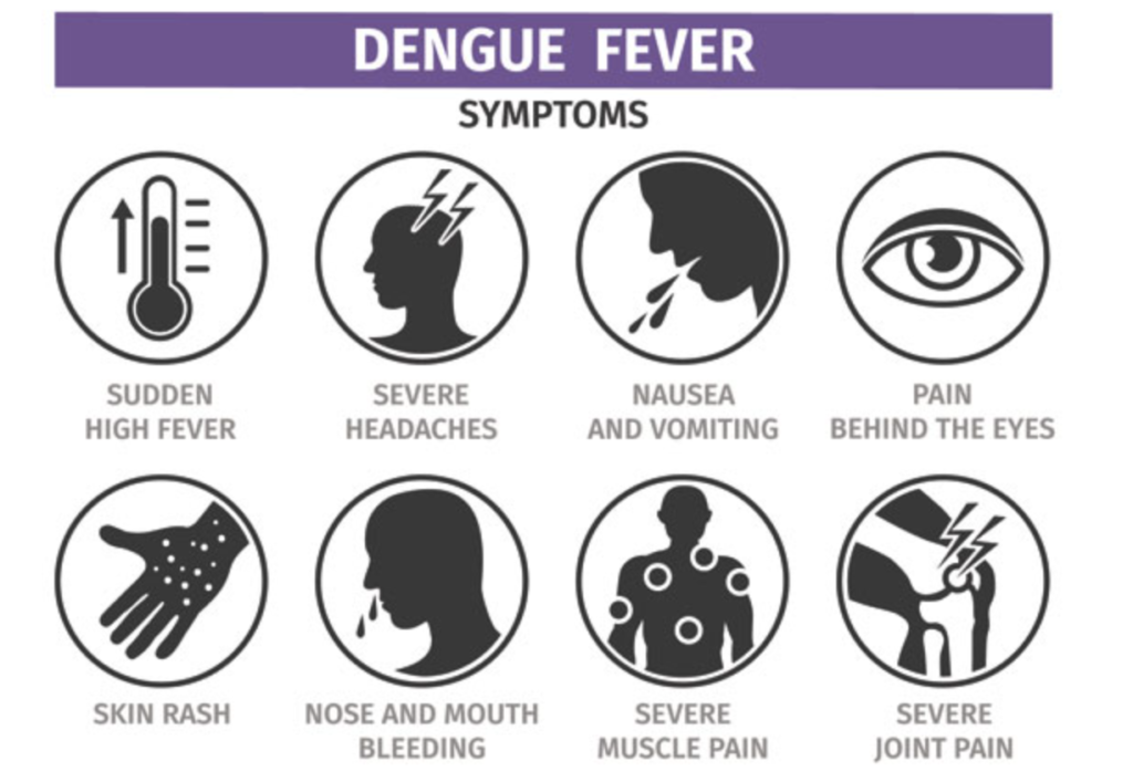 5-tips-to-help-prevent-dengue-fever-in-children